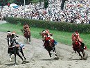 宵乗り競馬