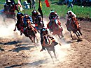 甲冑競馬