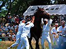 野馬懸